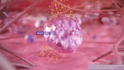 TSLP and mast cells in airway hyperresponsiveness - Thumbnail image