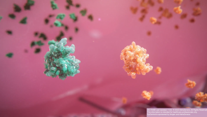 The effects of alarmins on immune cells - 3D animation