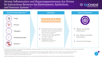 Epithelial cytokines in asthma - expert video supporting slide