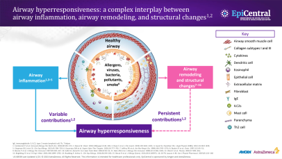 Airway hyperresponsiveness- A complex interplay between airway inflammation... Thumbnail image