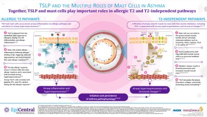 TSLP and the multiple roles of mast cells in asthma - Thumbnail image