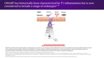 The inflammatory cascade in upper and lower airway diseases