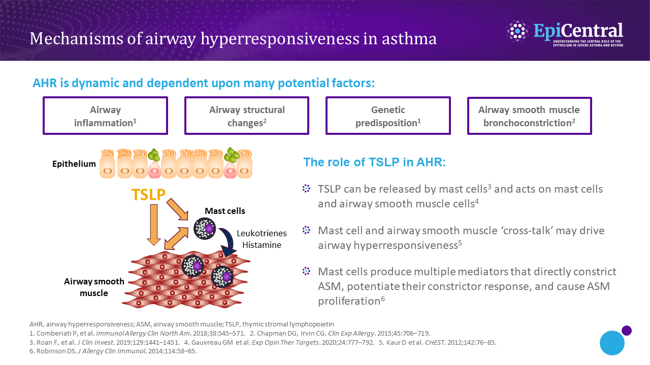 Overview of airway hyperresponsiveness infographic