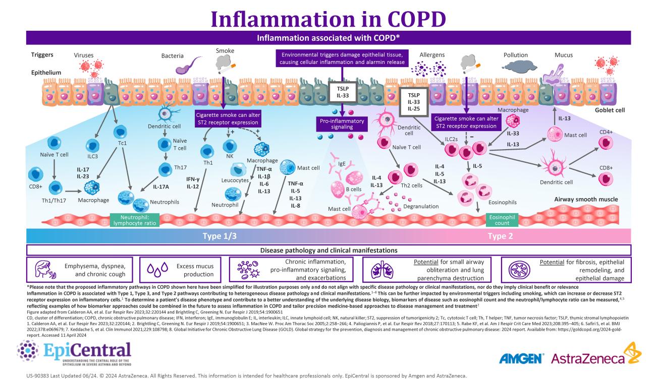 Inflammation in COPD