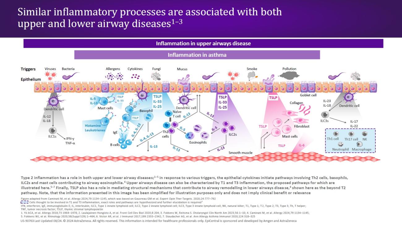 Similar inflammatory processes are associated with T2 inflammation, infographic